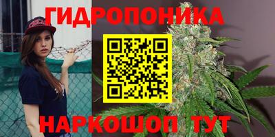 СК Чапаевск