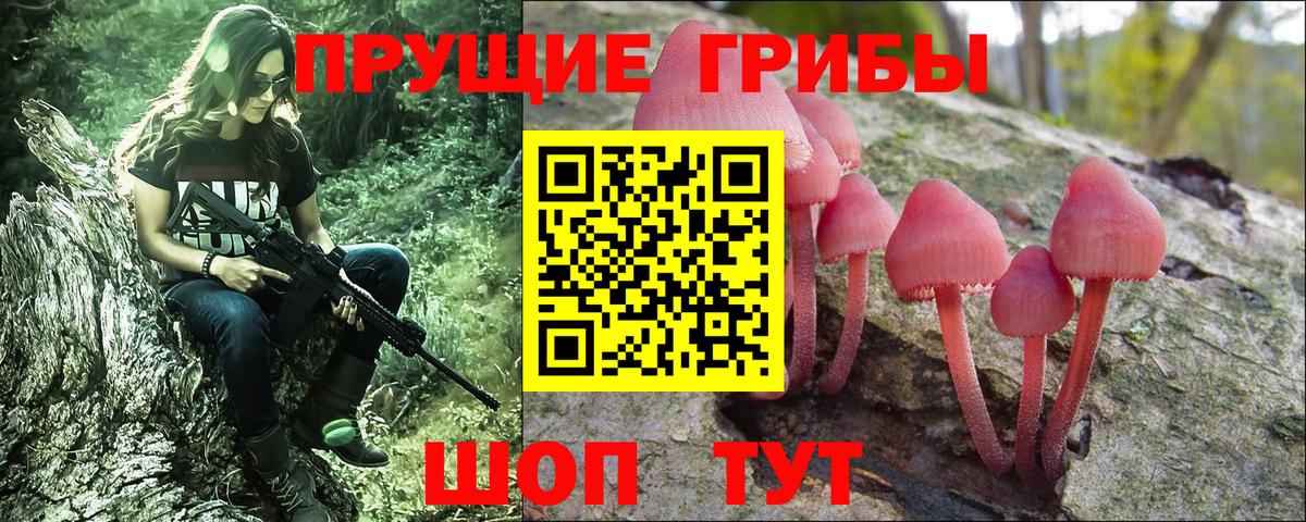 Галлюциногенные грибы Psilocybe  Вход с VPN  дарнет шоп  Ангарск 